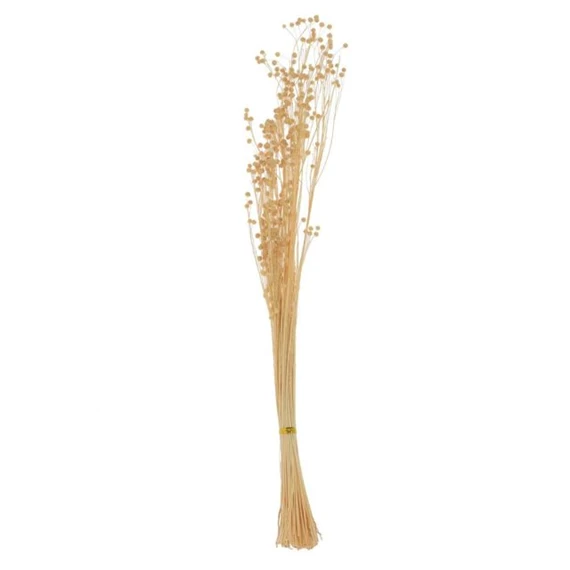 Len csokor szárított 65 cm