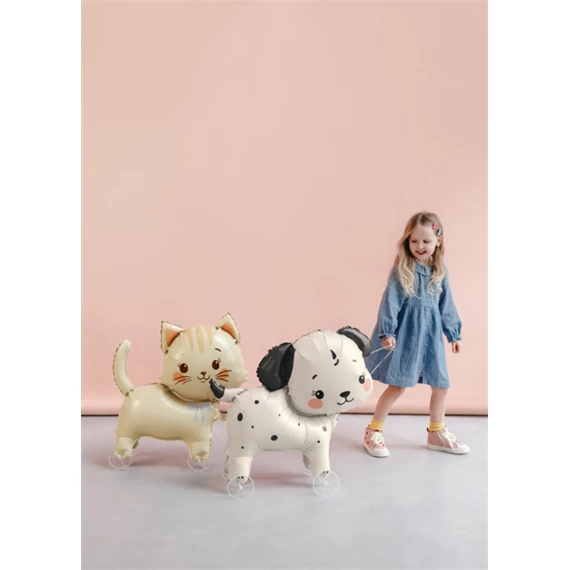 Lufi kutya kerekeken fólia 70x59 cm vegyes