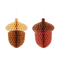 Méhsejt makk 27 cm kevert S/2