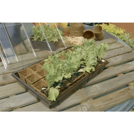 Mini üvegház 30 db palántához 5x5 cm , 52x17 cm S/3