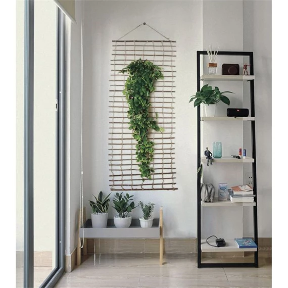 Növényfutattó falra akasztható 1x2 m