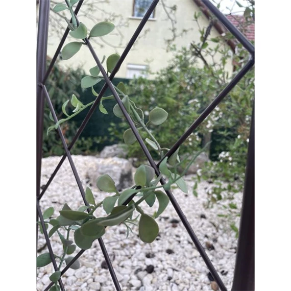 Növényfuttató félköríves 30 cm x 1,2 m