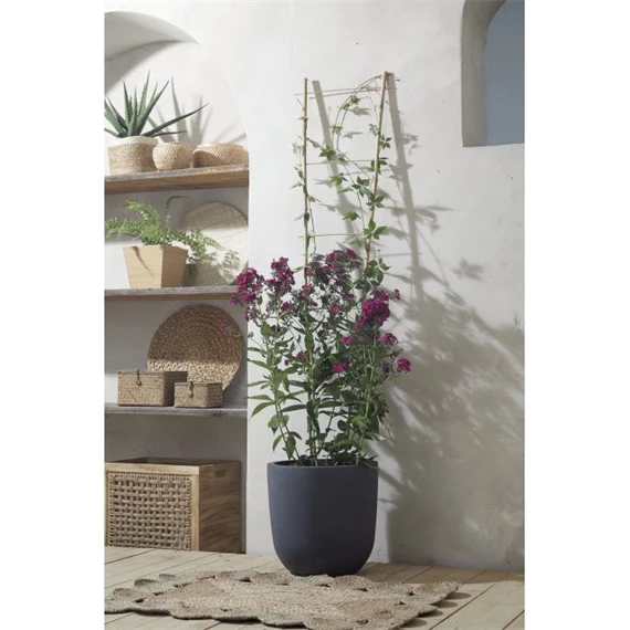 Növényfuttató létra 40 cm x 1,5 m