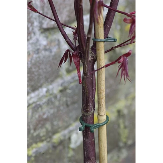 Növénykapocs 16x25 mm x 2 cm S/40