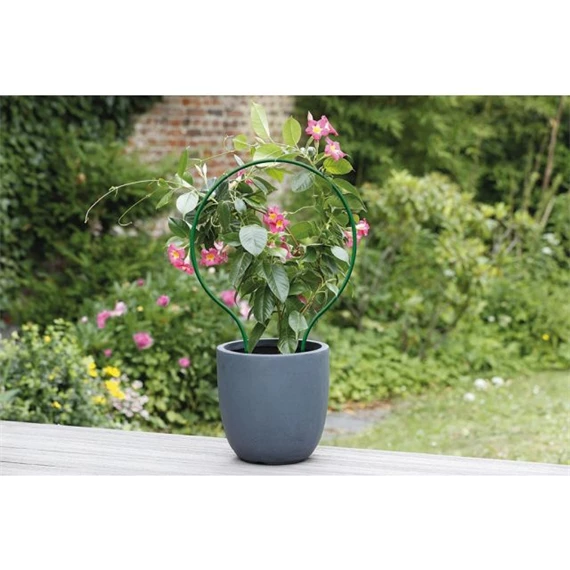 Növénytámasz ívelt 60x38 cm