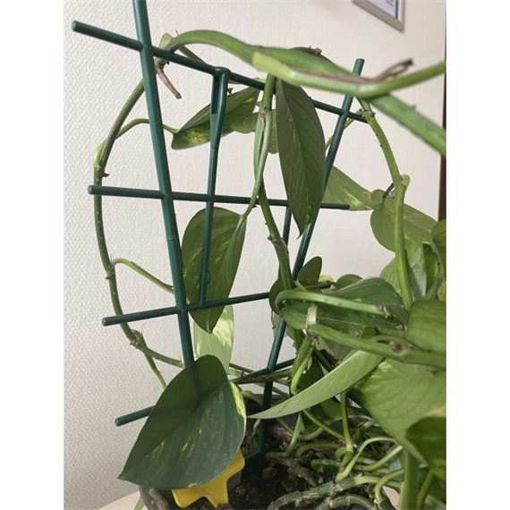 Növénytámasz 37x8 cm