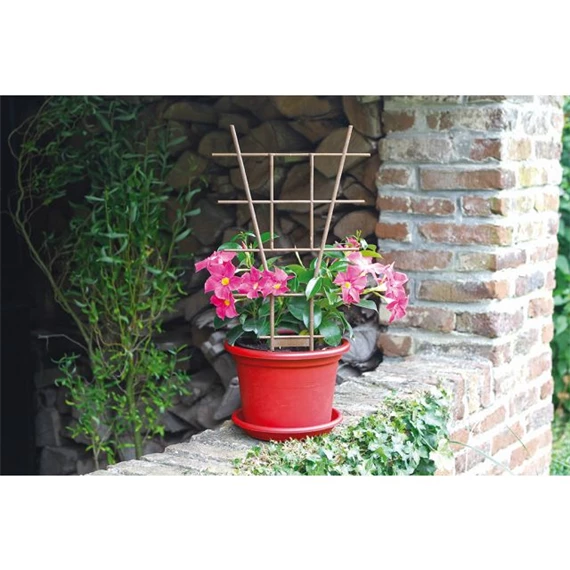 Növénytámasz 50x80 cm