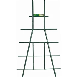 Növénytámasz 50x8 cm