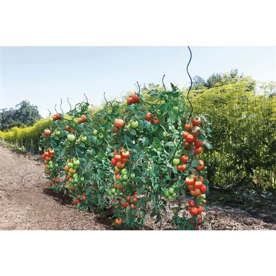 Növénytámasz paradicsomhoz, spirál alakú 0,7 cm x 1,7 m