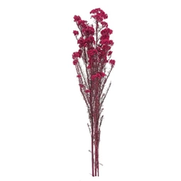Ozothamnus csokor szárított 70 cm
