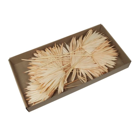 Pálmalevél dobozban, szárított S/20