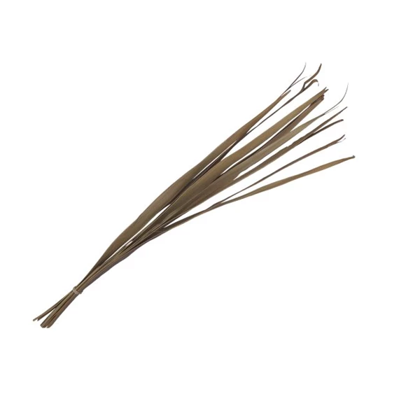 Pálmalevél szárított köteg 80-95 cm S/10