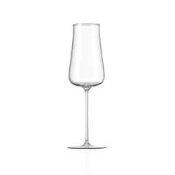 Pezsgős pohár POLARIS 380 ml 8x25 cm S/2