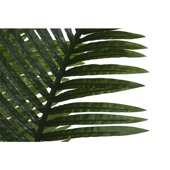 Seleymvirág areca cserepes 100x100x220 cm