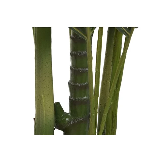 Seleymvirág areca cserepes 100x100x220 cm