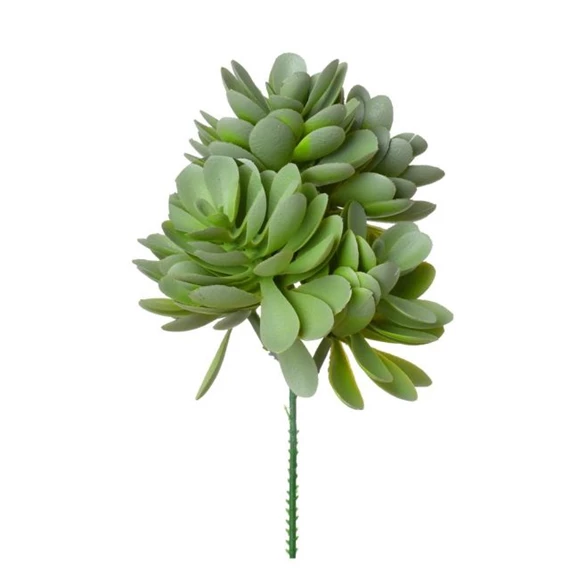 Selyemvirág Echeveria betűzős 19 cm