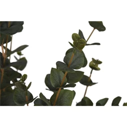 Selyemvirág eukaliptusz 60x60x120 cm