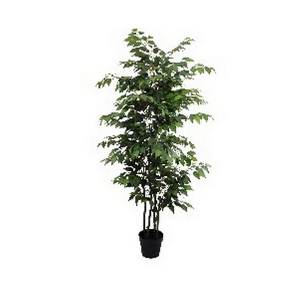Selyemvirág Ficus cserépben 180 cm