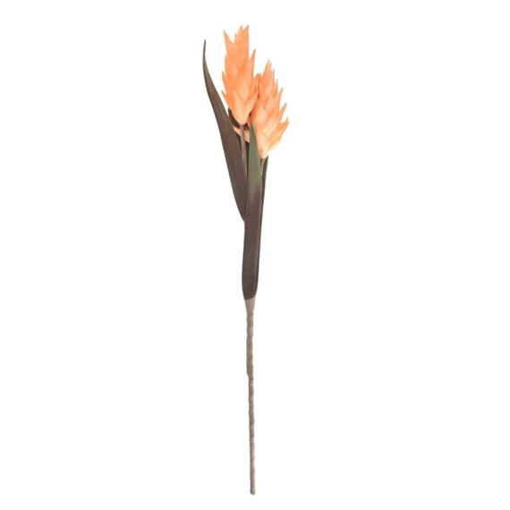 Selyemvirág Kurkuma 102 cm