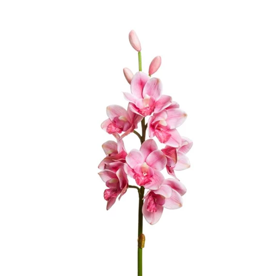 Selyemvirág orchidea, Cymbidium 77 cm