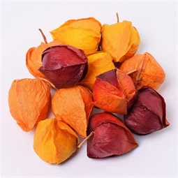 Selyemvirág Physalis fej S/12
