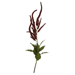 Selyemvirág amaranthus 110 cm
