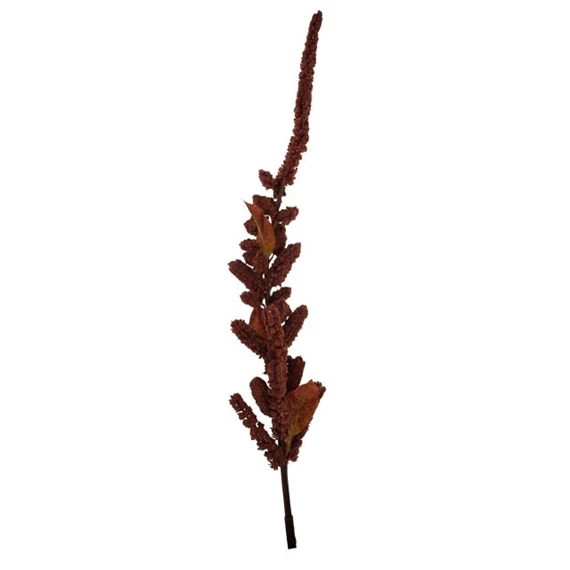 Selyemvirág amaranthus 120 cm