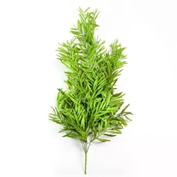 Selyemvirág asparagus 80 cm