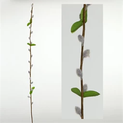 Selyemvirág barka ág 75 cm