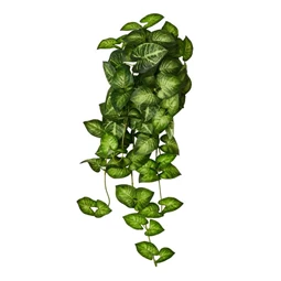 Selyemvirág Caladium futó 65 cm