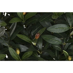 Selyemvirág cserepes oliva 60x60x120 cm