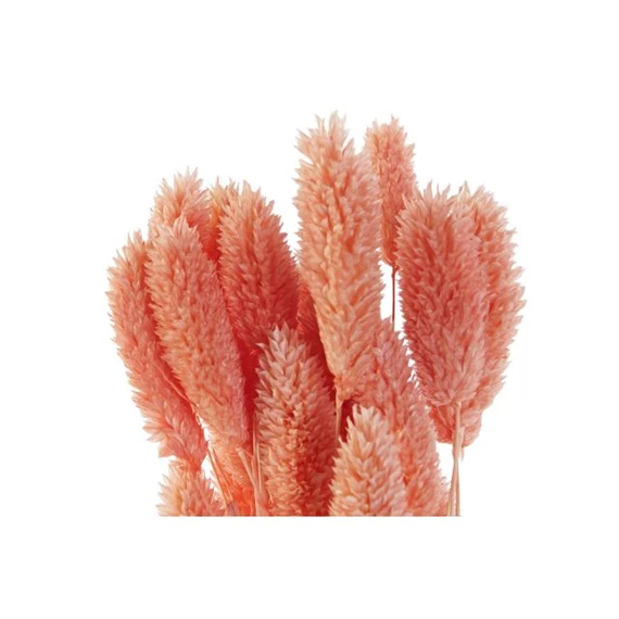 Selyemvirág csokor szárazvirág 4x4x70 cm 2 féle