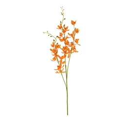 Selyemvirág orchidea, Dendrobium 95x15x10 cm