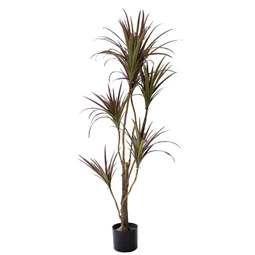 Selyemvirág dracaena cserepes 125 cm