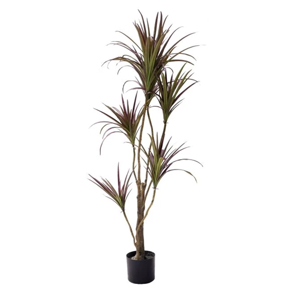 Selyemvirág dracaena cserepes 125 cm