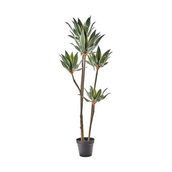 Selyemvirág Dracéna cserepes 165 cm