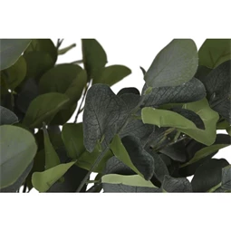 Selyemvirág eukaliptusz cserepes 80x80x150 cm