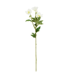 Selyemvirág hunyor 62 cm