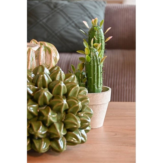 Selyemvirág kaktusz cserepes 10x12x28 cm