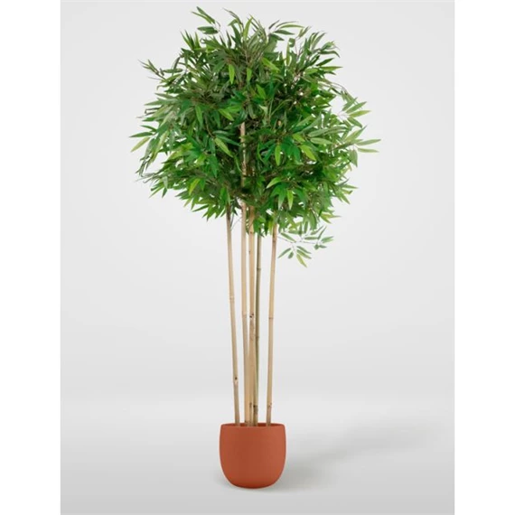 Selyemvirág kaspóban Bambusz 80x80x180 cm