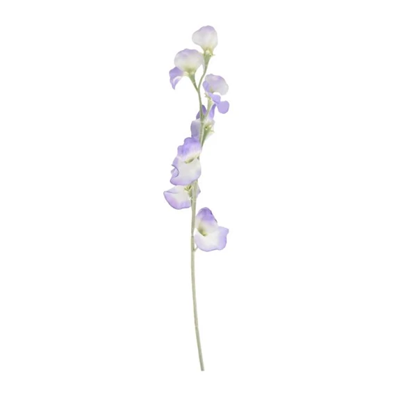 Selyemvirág Lathyrus 64 cm