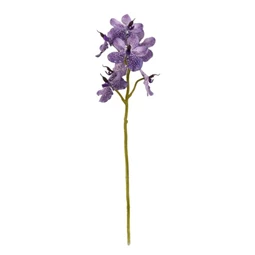 Selyemvirág lepkeorchidea 63 cm
