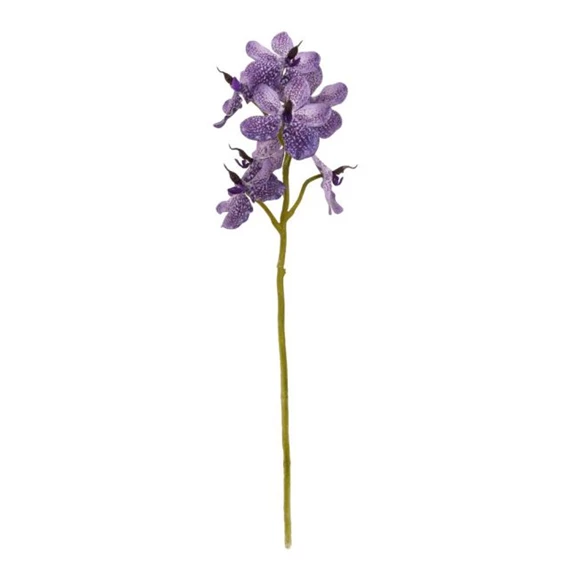 Selyemvirág lepkeorchidea 63 cm
