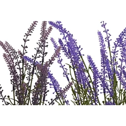 Selyemvirág levendula cserepes 24x24x46 cm 2 féle