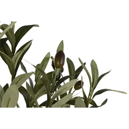 Selyemvirág Olajfa 80x80x180 cm