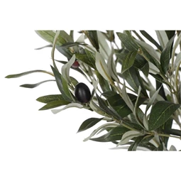 Selyemvirág Olajfa 80x80x180 cm