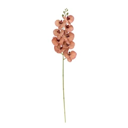 Selyemvirág lepkeorchidea 100 cm