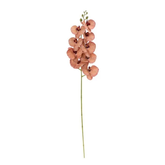 Selyemvirág lepkeorchidea 100 cm