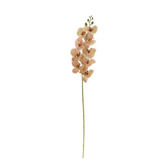 Selyemvirág lepkeorchidea 100 cm