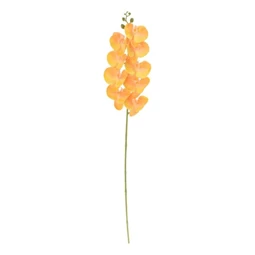 Selyemvirág lepkeorchidea 100 cm